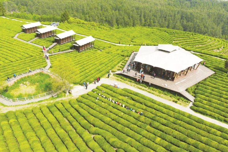 Live coverage of the city news