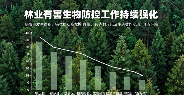 Hunan jinyang news service