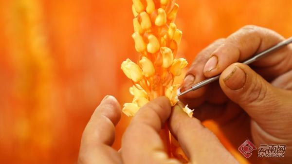 Cultivation of small grass dams