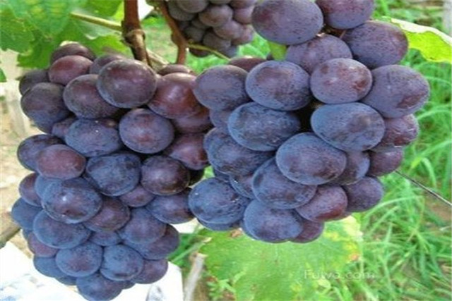 Scrambling techniques &mdash; science management of plumbing &mdash; plumbing efficiency techniques