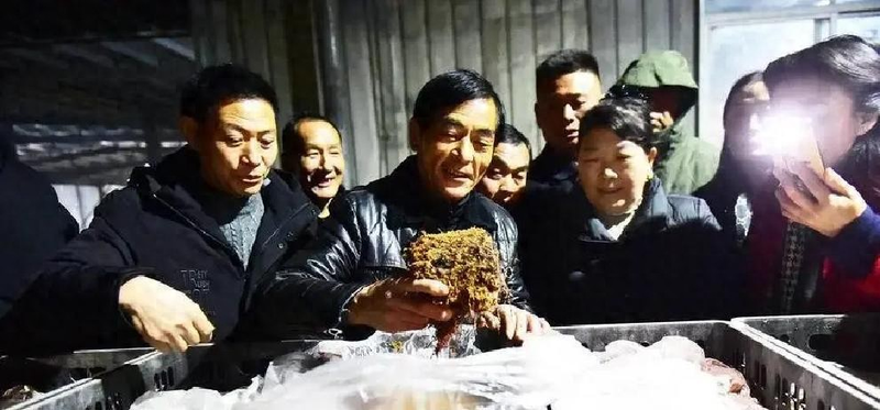 Indoor sterilization techniques &mdash; matrix cylindrical sterilization &mdash; sterilization techniques