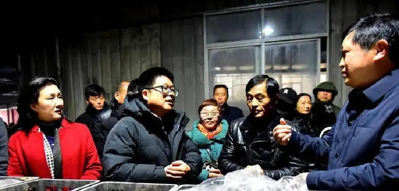 Artificial manure cultivation technology &mdash; matrix &mdash; indoor cylindrical cultivation technology