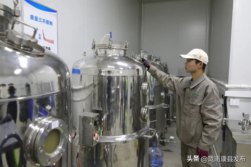 Artificial planting of tima techniques - artificial planting of tima techniques - artificial planting of tima technology video