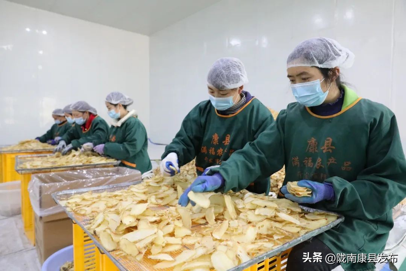 Artificial planting techniques - artificial planting video - artificial planting techniques