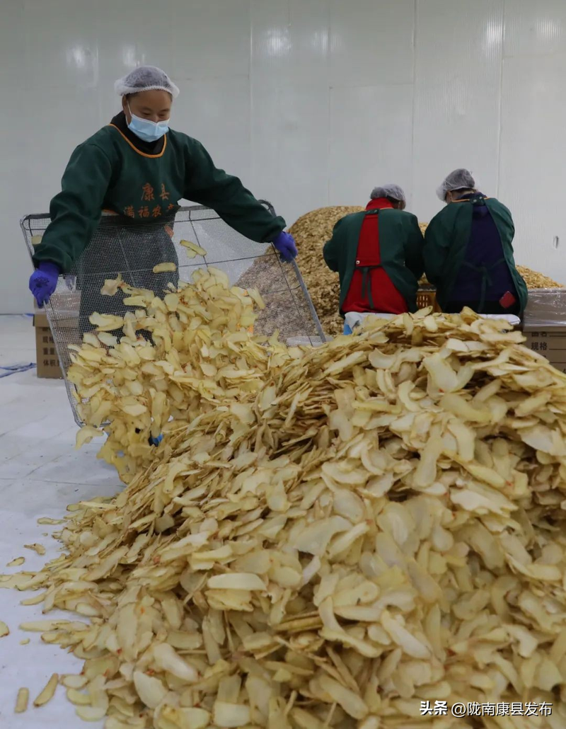 Artificial planting of sterma technology method &mdash; artificial planting of tima technology video &mdash; artificial cultivation of sterin