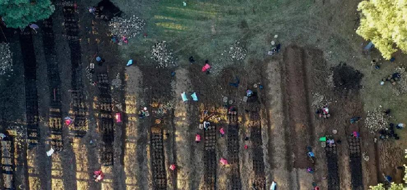 Viinen tima bioculture teen mangrove zinma base, sandpoe