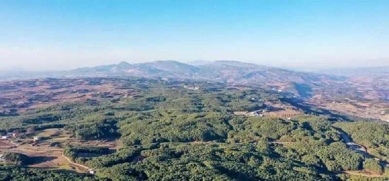 Viinen tima bioculture teen mangrove zinma base, sandpoe