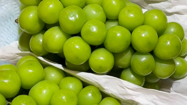 High value grapes technical guidance, grapes