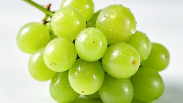 High value grapes technical guidance, grapes