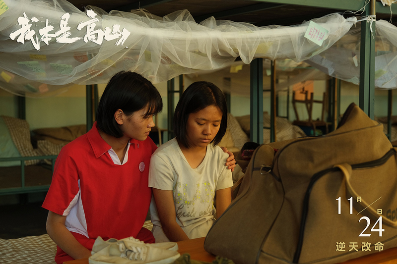 China, the intellectuals, zhang gui mei, the controversy