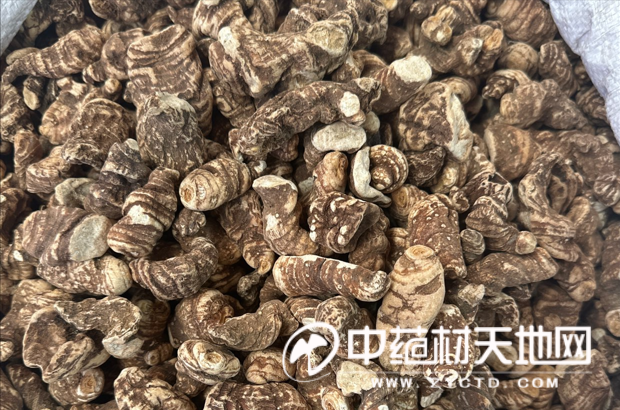 Price trends in heavy buildings   cost analysis of heavy buildings   video of planting techniques in heavy buildings