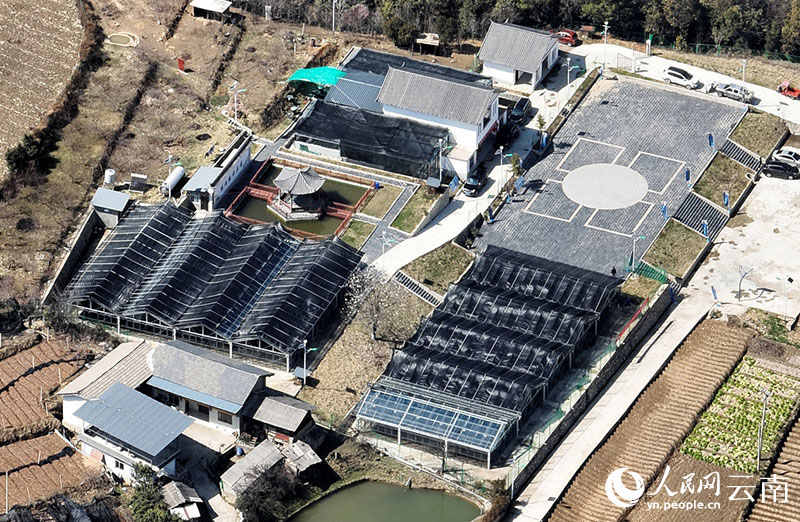 &bull; orchid shed of the professional cooperative of farmers in bo and the town of vessi. Wang yong-sung