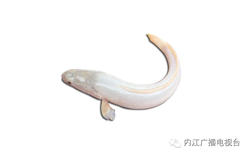 How much is it worth to build lang chang-shang-sung-sung-shang-sung-shang-sung-shang-sung-shang-sung-shang-sung-shang-sung-shang-shang-shang-sing