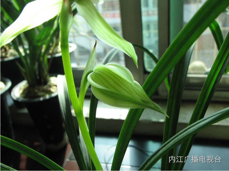 How much money does it cost to build a langlong chang-sung-shang-sung-shang-shang-sung-shang-shang-shang-sung-shang-sung-shang-sung-shang-shang-shang-sung-sung-shang-sung-shang-shang-shang-sung-shang-shang-sung-sung-shang-sung-sung-sung-song-sung-sung-sung-song-sung-sung-sung-sung-song-sung-sung-sung-sung-sung-song-sung-sung-sung-song-sung-sung-sung-sung-sung-song-sung-sung-song-song-sung-song-song-sung-song-song-song-song-song-song-song-song-song-song-song-s