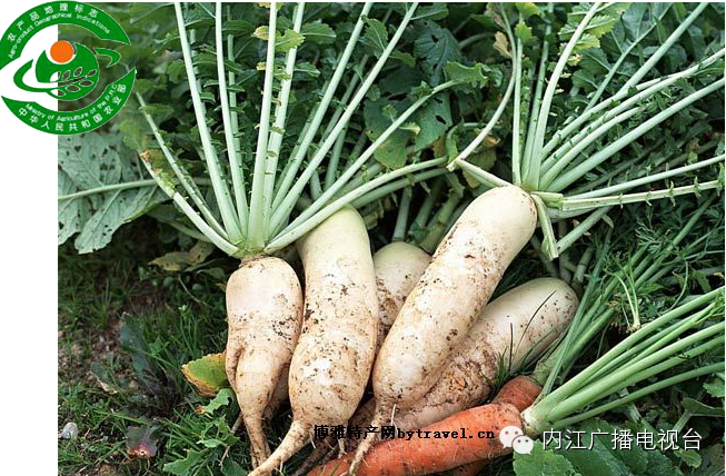 How much money does it cost to build a langlong chang-sung-shang-sung-shang-shang-sung-shang-shang-shang-sung-shang-sung-shang-sung-shang-shang-shang-sung-sung-shang-sung-shang-shang-shang-sung-shang-shang-sung-sung-shang-sung-sung-sung-song-sung-sung-sung-song-sung-sung-sung-sung-song-sung-sung-sung-sung-sung-song-sung-sung-sung-song-sung-sung-sung-sung-sung-song-sung-sung-song-song-sung-song-song-sung-song-song-song-song-song-song-song-song-song-song-song-s