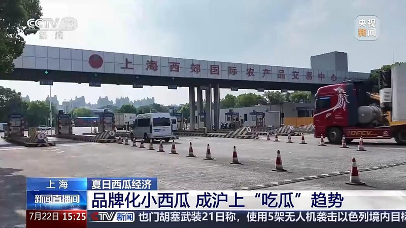 North watermelon cultivation technology &mdash; summer season &mdash; watermelon cultivation area &mdash; branding of small watermelon consumption trends