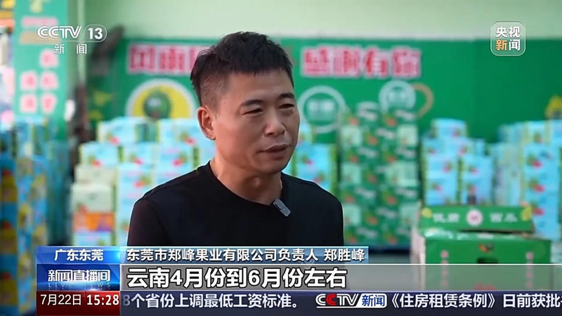 Summer season, watermelon cultivation area   northern melon cultivation technology   branding of melons trends in consumption