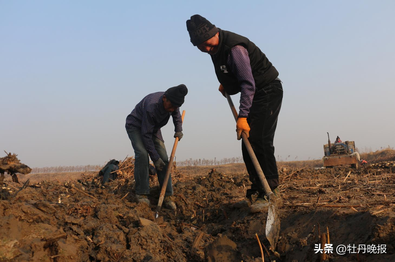 The technology used to plant the mud in cao county