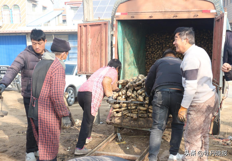 The technique used to plant the mud is the method used to plant it