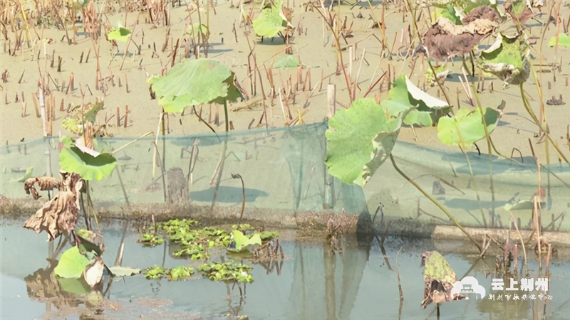 Soil farming techniques and management