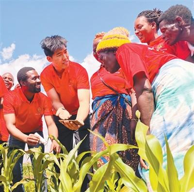 Where do you learn to eat bacterial cultivation