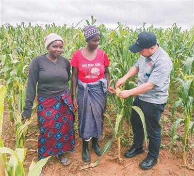 Where do you learn how to grow edible microbacterials? Learn