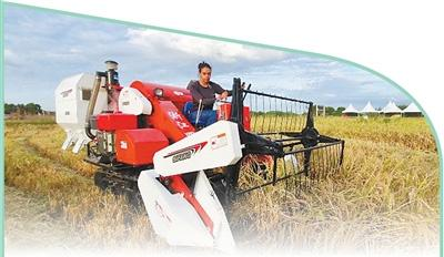 Where do you learn to eat bacterial cultivation