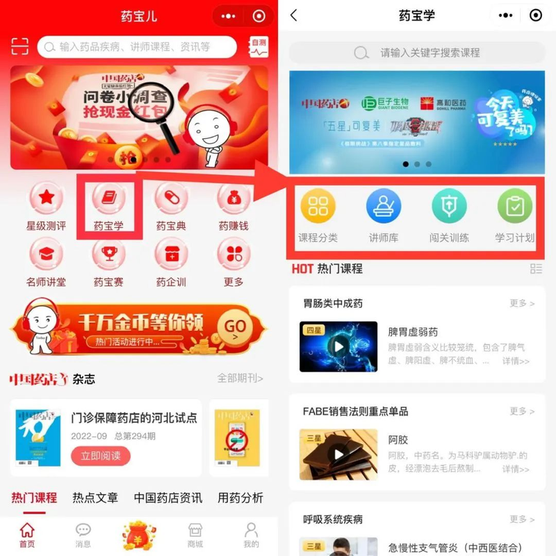 Pharmacies raise the price of a customer unit — how to raise the price of a store — watch customers buy medicines to raise the list price