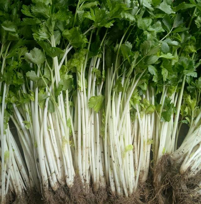 Image 4 of the article