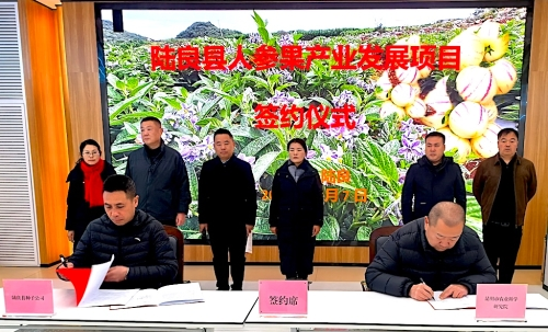 0bccd6b2fe75ff2f04869158d77f35