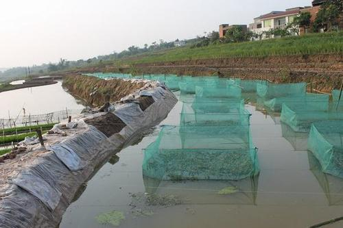Lean farming techniques incorporate mud — mud farming techniques — mud farming methods