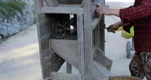 Traditional rice farming methods — rice cultivation processes — rice cultivation methods