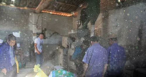 Rice cultivation process - traditional paddy farming methods - rice cultivation methods