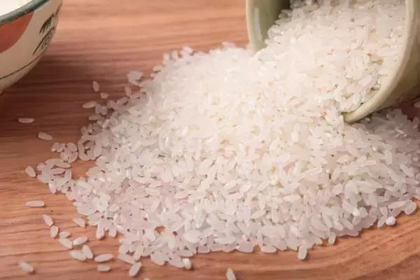 Traditional paddy farming methods - rice cultivation methods - rice cultivation processes