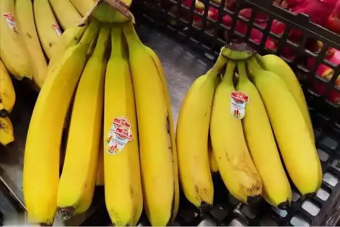 Measures to improve the quality of sleep - what methods to improve the quality of sleep - ways to improve the quality of sleep