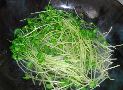 The method of planting bean seedlings - nutritional value of peas seedlings - method of planting peas seedlings