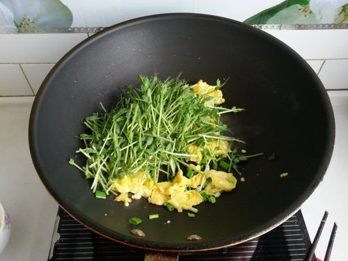 The method of planting bean seedlings - nutritional value of peas seedlings - method of planting peas seedlings