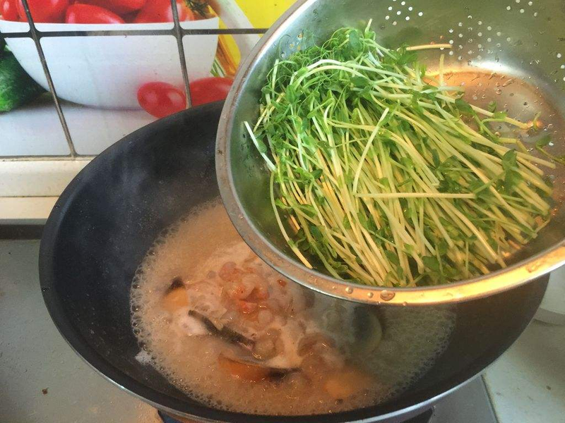 Cultivation of bean seedlings   peas seeding method   nutritional value of peas seedlings