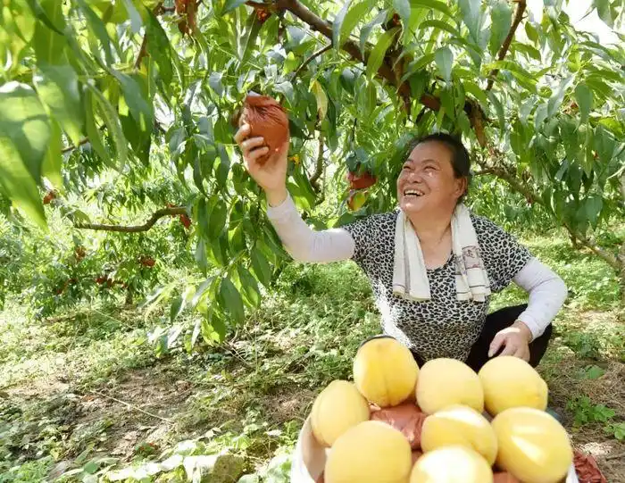 ♪ high mountain ♪ ♪ ♪ high mountain ♪ ♪ ♪ queue ♪ queue ♪ queue queue ♪ queue queue ♪ queue queue queue ♪ queue queue ♪ queue que queue ♪ queueu queue ♪ queue queue que que ♪ queue queue que ♪ queue que que que que ♪ queue que que que que que que que ♪ que que que que que qui qui qui ♪ que que qui qui que que que qui qui qui qui que que ♪