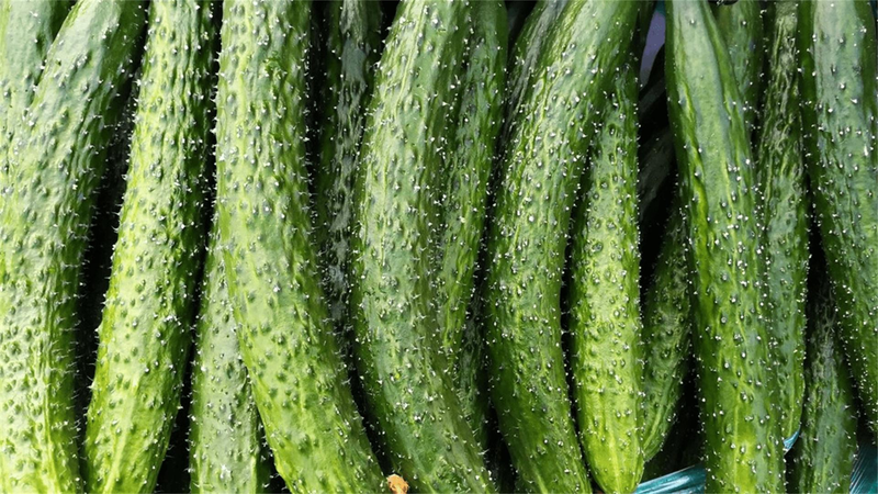 A cure for the diarrhea