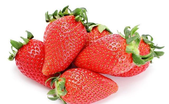 How to grow strawberry seeds   methodological steps to grow strawberry seeds   strawberry techniques and correct methods
