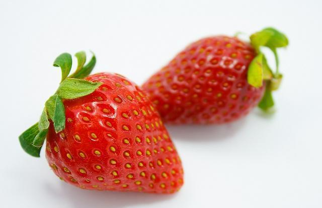 Strawberry techniques and the right way to grow them - methodological steps to grow strawberry seeds - how to grow strawberry seeds