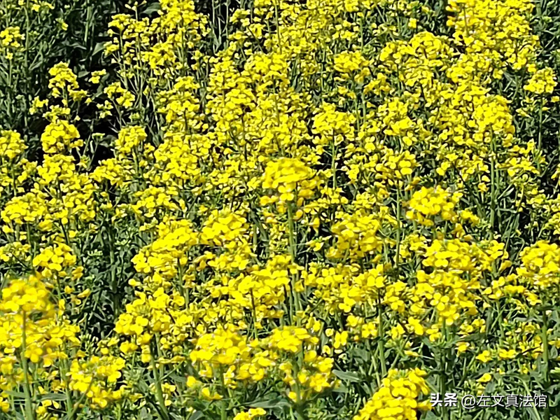 Consequences of harm caused by subjective malicious and objective acts &mdash; criteria for the screening of abuse of rights in administrative proceedings &mdash; competition on knowledge of administrative procedural law