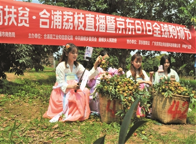 Technical points for the planting of gill branches - techniques for growing gill branches and management - techniques for growing gill branches