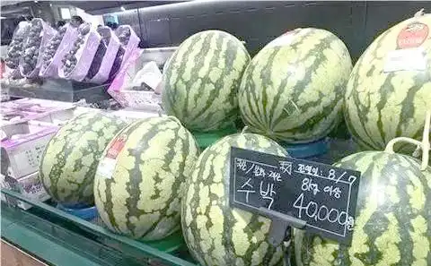 Korean people's life experience   korea's high price   korea's price and cost of living