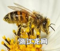 How do we coordinate the location of the subsea temple? General