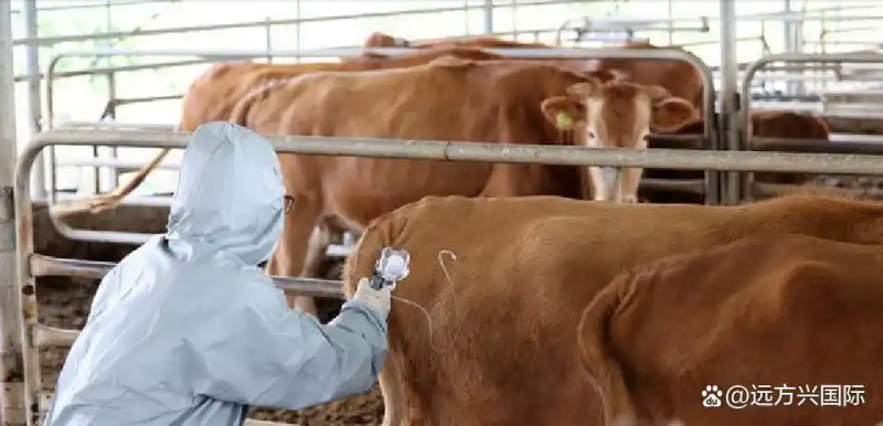 Korea has very high prices