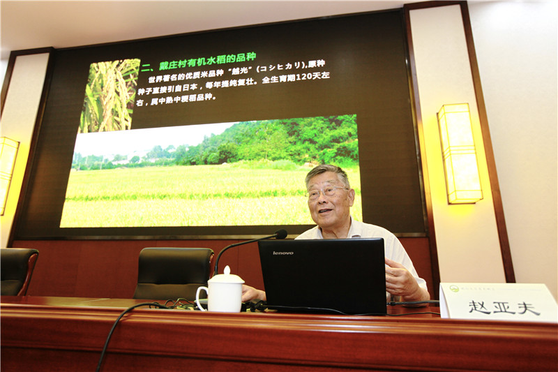 Organic rice cultivation - zhao yaf