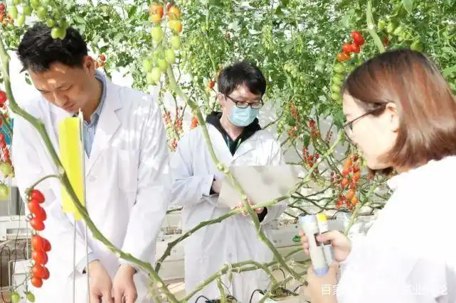 Multi-agricultural science and technology competition