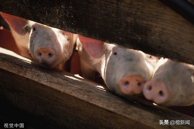 What is the character of the man's fable